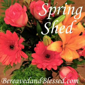 Spring Shed Logo