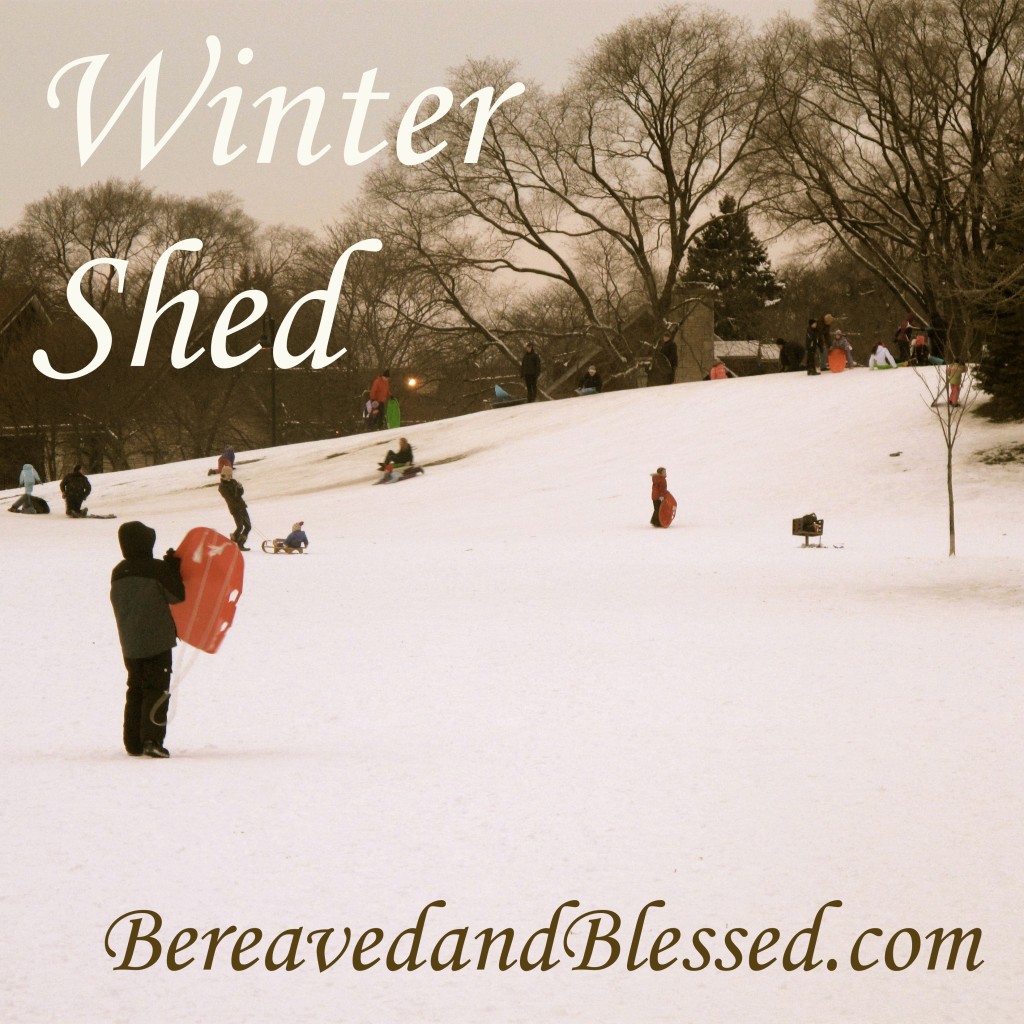 Winter Shed logo